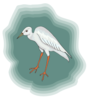 Heron With Green Background Clip Art